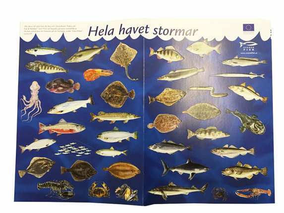 hela-havet-stormar hela-havet-stormar